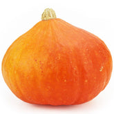 Zucca Hokkaido fresca BIO (ca. 1 kg)